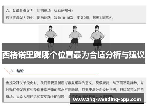 西格诺里踢哪个位置最为合适分析与建议 西格诺里踢哪个位置最为合适分析与建议